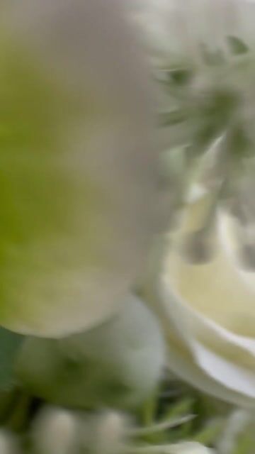 Vídeo de Miss Misses