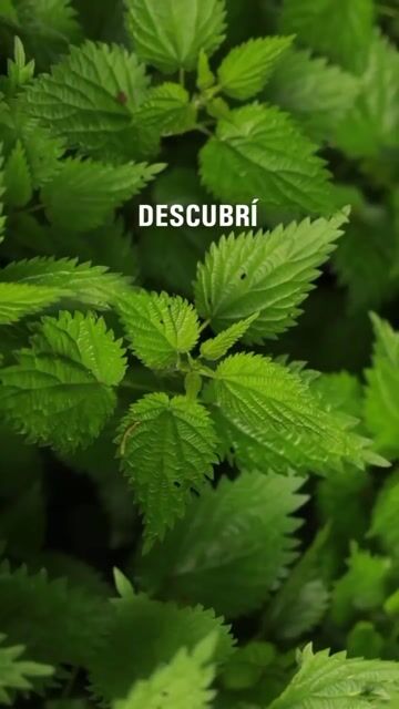 Video de Tua Supermercado