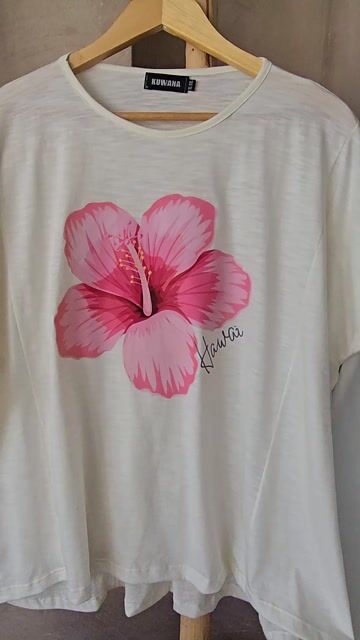 Video de Kuwana Shop