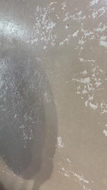 Video de Manta Salta