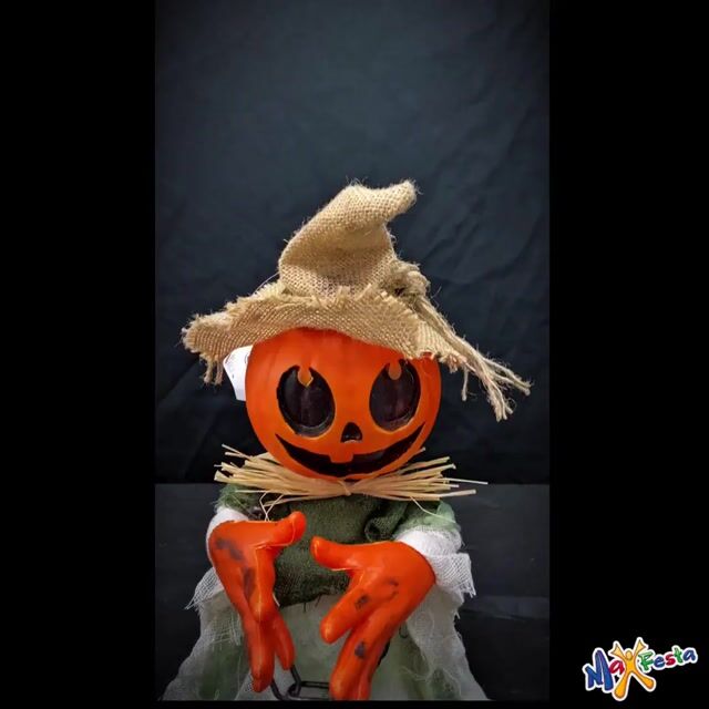 Vídeo de MaxFesta