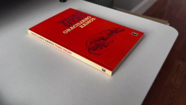 Vídeo de Livros do Rochi