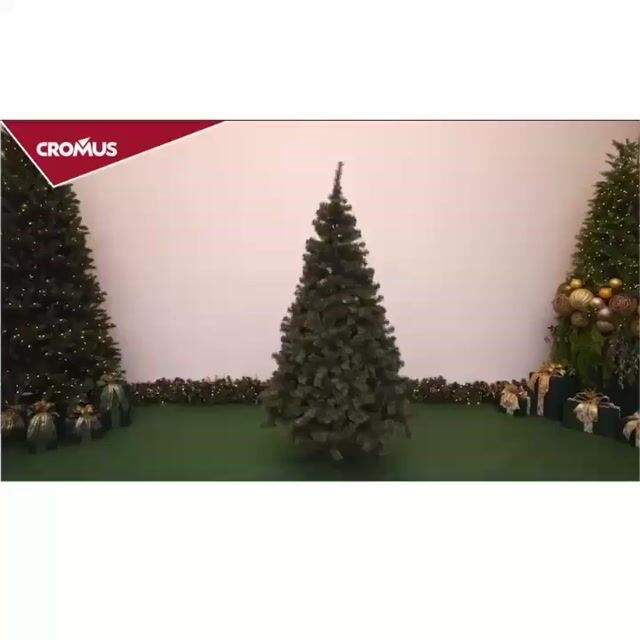 Vídeo de MaxFesta