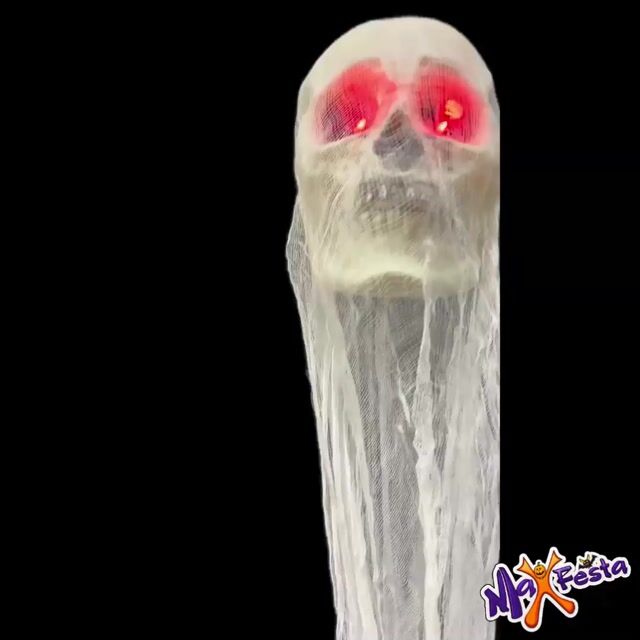 Vídeo de MaxFesta