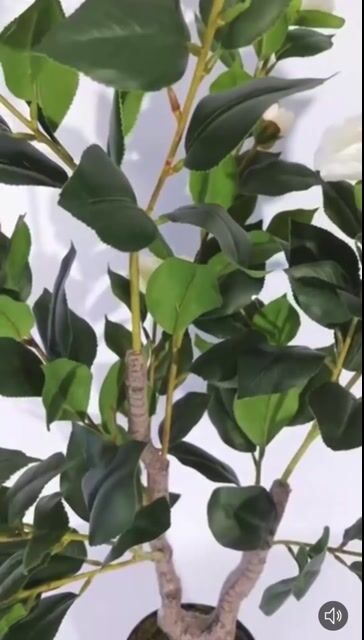 Video de Planta Artificial Camelia 90 Cm