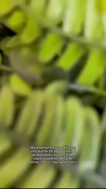 Vídeo de Paulimarx Conceito - O melhor em metais para sua Casa: Torneira, Chuveiro, Ducha, Ralo, Misturador, Válvula, Acabamento