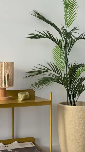 Video de Planta Palmera Areca 110Cm Calidad Premium