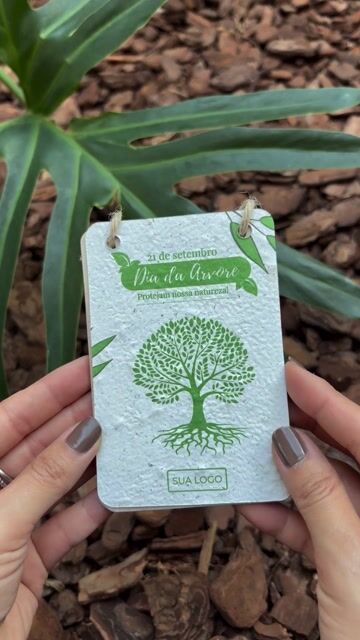 Vídeo de plante1papel