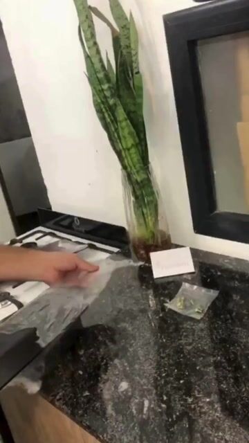 Video de Repuesto Palas De Ventilador De Techo Nacional Chapa Blancas