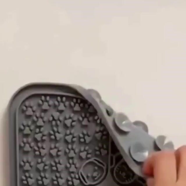 Vídeo de doce latido 