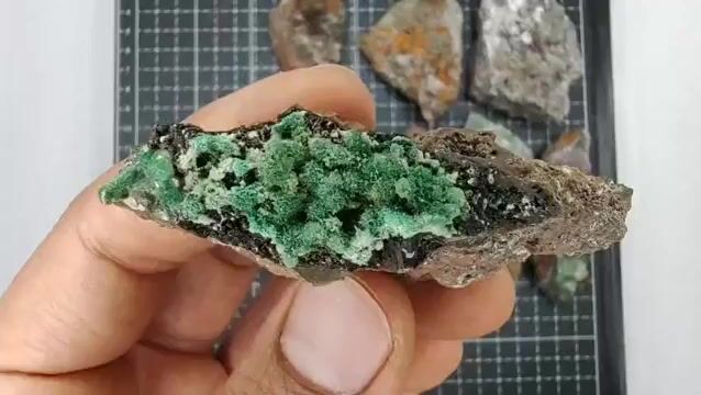 Video de 404 gr Conicalcita, Rosasita y Fluorita (10 pz) - Minerales de Colección