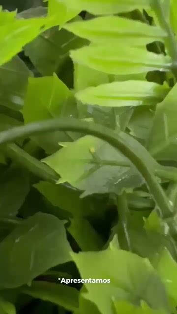 Vídeo de Paulimarx Conceito - O melhor em metais para sua Casa: Torneira, Chuveiro, Ducha, Ralo, Misturador, Válvula, Acabamento