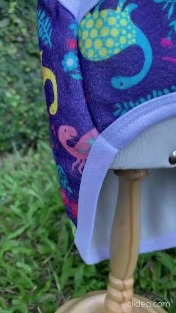 Vídeo de Roupa Pet Cachorro Soft Bouclê Peluciado Dinossauro