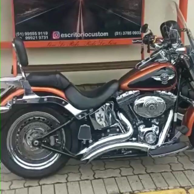 Video de ESCAPE SNAKE HEAD - SOFTAIL TC