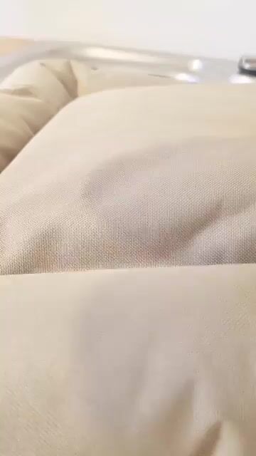 Video de Sabias Mascotas