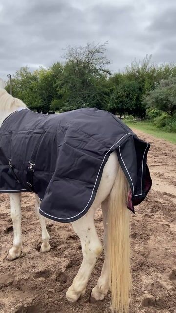 Video de MANTA MADOC DE ABRIGO KING