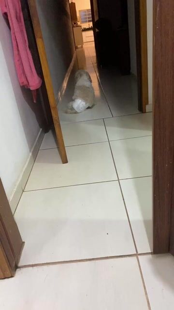 Vídeo de Andara Brand