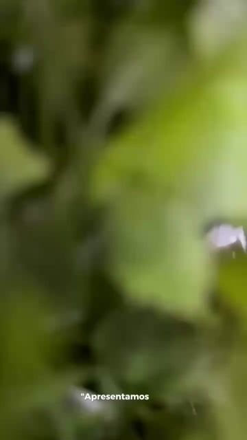 Vídeo de Paulimarx Conceito - O melhor em metais para sua Casa: Torneira, Chuveiro, Ducha, Ralo, Misturador, Válvula, Acabamento