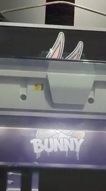 Video de Remera Bugs Bunny