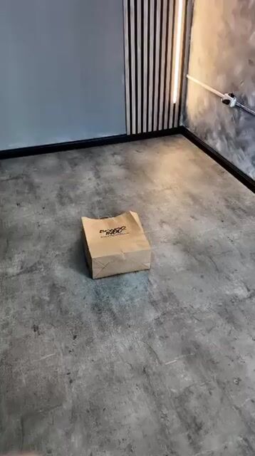 Video de Bongo Indu