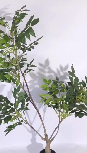 Video de Planta Artificial Ojo de Dragon 120 cm
