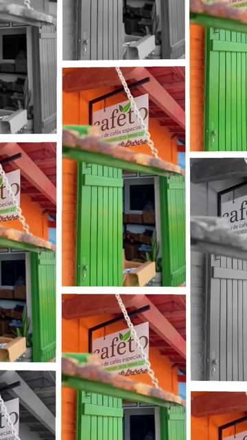 Video de Kit 3 Cafés Microlotes Premiados Pontos 100% Arábica | Entre Vales 250g + Serra da Tromba 250g + Tijuco Dona Terezinha 200g