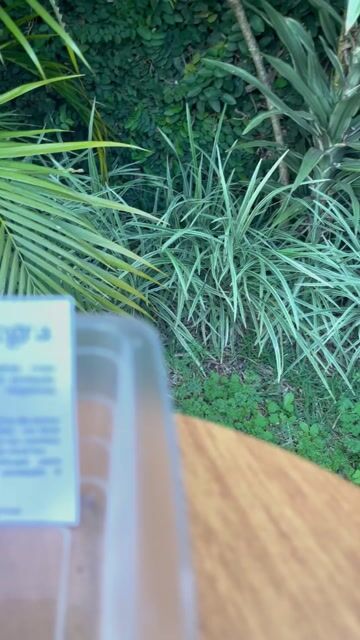 Vídeo de Loja Terapias Quânticas