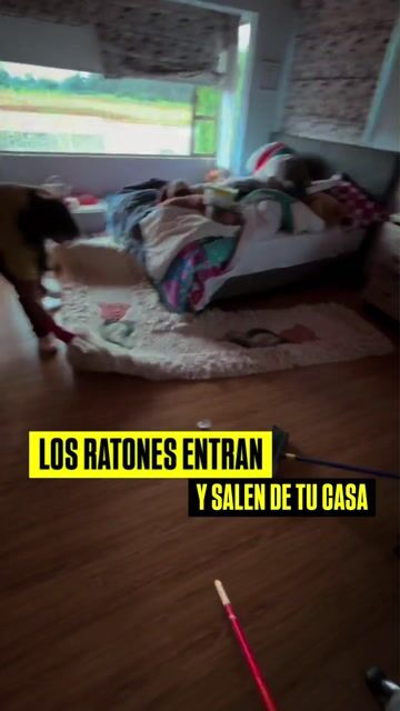 Video de Pack Repelentes De Roedores 2 Bidones 5 Litros - BINEX