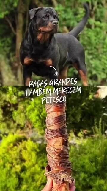 Vídeo de Good Lovin Snacks 