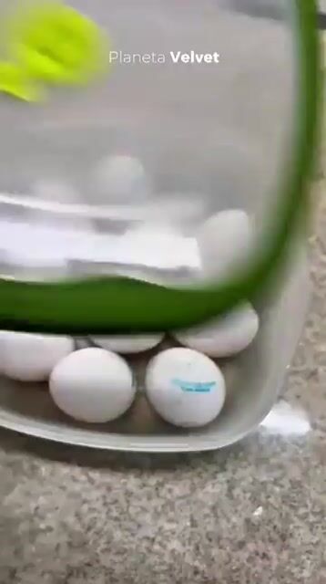 Video de ORGANIZADOR DE HUEVOS DIAMOND 24 UNIDADES