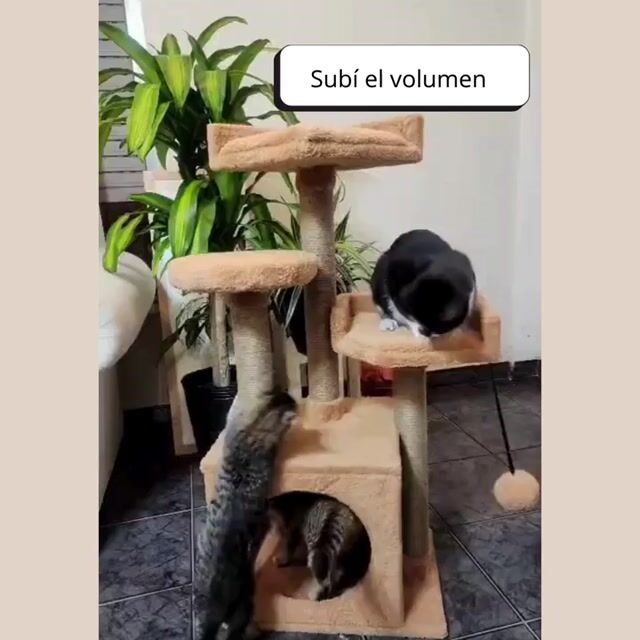 Video de CUATRO ELEMENTOS AR