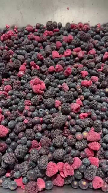 Video de Mix de 3 Berries IQF por 1kg