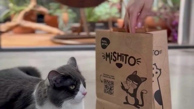 Video de COMEDERO & BEBEDERO PORTÁTIL