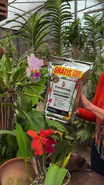 Video de Adubo Fortirriza Tradicional (500g) + 200g Grátis – Nutrição poderosa para raízes fortes e floração exuberante!