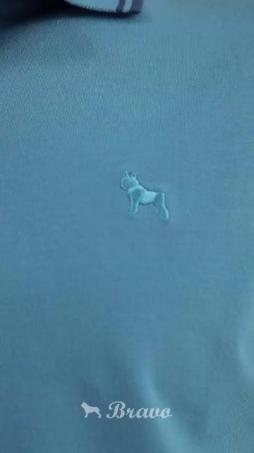 Video de Chomba de Jersey liso COSENZA azul aero