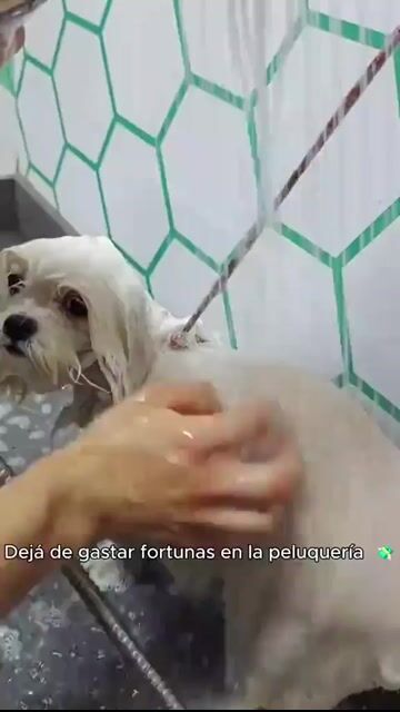 Video de Kit Chau Pelos: Cepillo a Vapor 3 en 1 + QuitaPelusas de Ropa