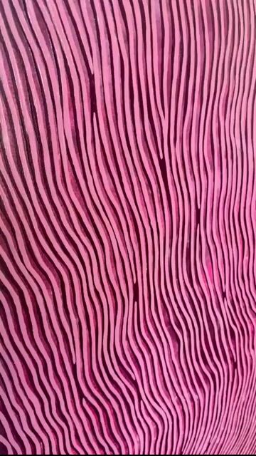 Video de Diderot.Art