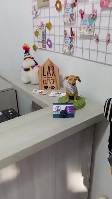 Vídeo de INSPIRAÇÃO 3D - Arte, Decoração e Impressão 3D