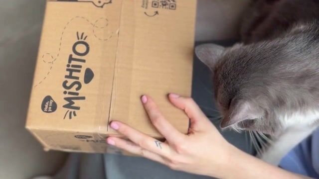 Video de CEPILLO QUITA PELOS