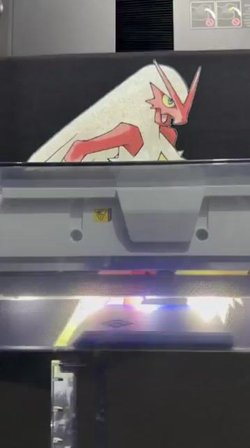 Video de Remera Pokemon Blaziken