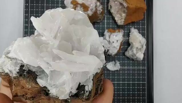 Video de 777 gr Calcita Alas de Ángel 6 Piezas Minerales de Colección