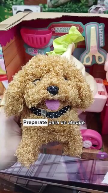 Video de Perrito Mascota con Movimiento con Cochecito de Paseo WoW