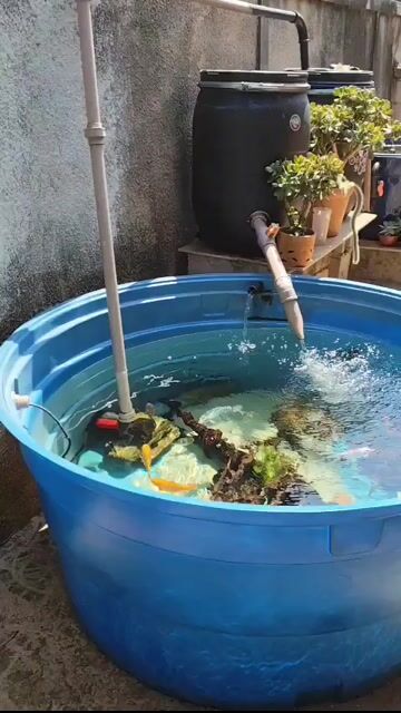 Vídeo de Lemos Fish