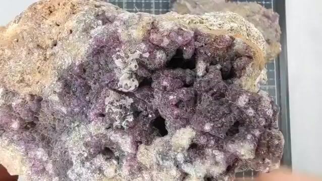 Video de 1.558 kg Fluorita Botrioidal Púrpura (2 pz) - Minerales de Colección