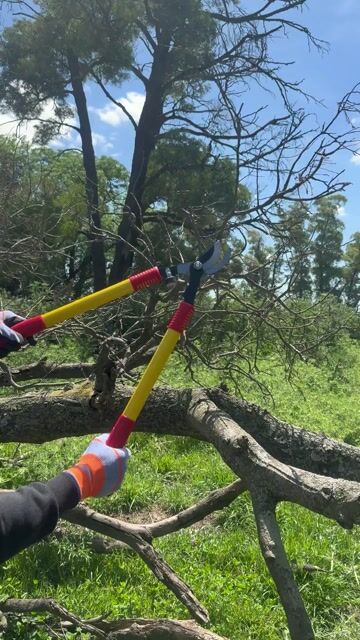 Video de Pack Mayorista 12 Tijeras De Poda Profesional Acero