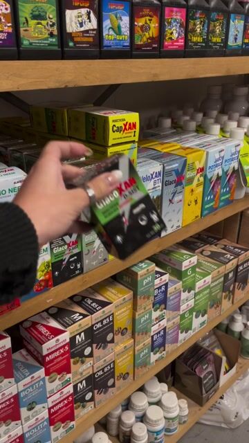 Video de Kaizen Growshop