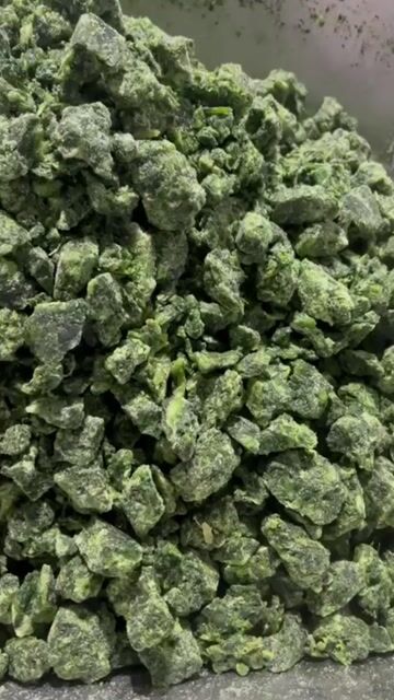 Video de Espinaca IQF por 2KG