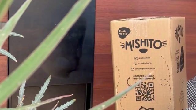 Video de ARENA DE SÍLICA FINA PARA GATOS MISHITO 3 KG | ALTA ABSORCIÓN 0.5–2 MM