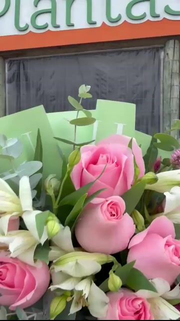 Vídeo de Floricultura Cia das Plantas