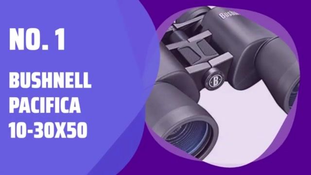 Video de Pezcalandia